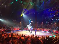 Die Familie Caselly.JPG