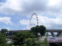 29.01.2016: Singapur - Singapore Flyer