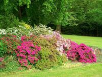 Wasserschloss Anholt, Park