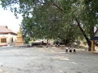 06.02.2016: Sihanoukville - AIDA-Ausflug 