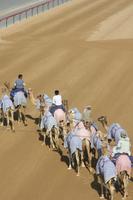 Kamelrennstrecke (6)