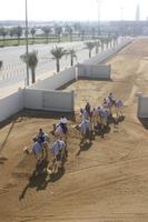 Kamelrennstrecke (10)