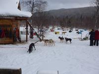 Russland, Baikalsee, Listwjanka, Schlittenhundestation