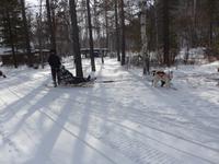Russland, Baikalsee, Listwjanka, Schlittenhunde-/Schneemobilausflug