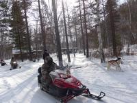 Russland, Baikalsee, Listwjanka, Schlittenhundestation