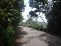 auf der Jeeptour in den Regenwald