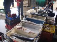 Fischmarkt in Valparaiso