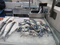 Dubai - Oman -  Ausflug nach Sharjah - Besuch im Fisch-,Fleisch- und Gemüsemarkt