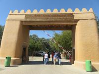 Dubai - Oman - Fahrt nach Al Ain -Besuch der Palmenoase