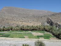 Dubai - Oman - Fahrt zum Grand Canyon Jebel Shams - verlassenes Dorf