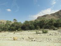 Dubai - Oman -  Fahrt zum Wadi Bani Khalid