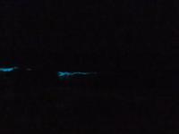 Dubai - Oman - Sur - Strand Ras Al Jinz - leuchtendes Plankton