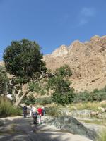 Dubai - Oman - Fahrt nach Muscat - Wadi Tiwi