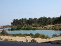 Dubai - Oman - Fahrt nach Muscat - Wadi Tiwi