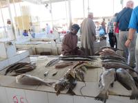 Dubai - Oman - Ausflug nach Barka zum Fischmarkt