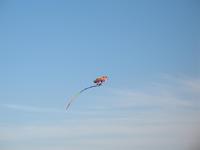IMG_1754