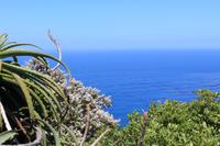 Nationalpark der Kap Halbinsel