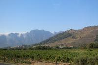 Winelands Kapregion
