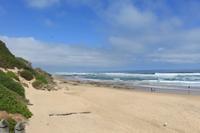 Strand Wilderness