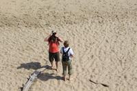 Strand Wilderness