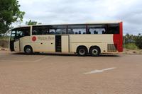 Mit dem Bus durch den Krüger Nationalpark
