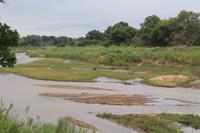 Krüger Nationalpark