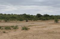 Krüger Nationalpark