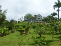 Grand Etang Nationalpark, Grenada