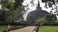  Polonnaruwa, die größte Dagoba