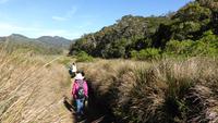 Horton Plains
