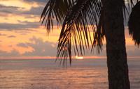 IMG_1234
