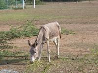 IMG_1545
