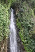 IMG_1595