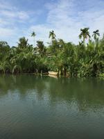 Leben am Fluss