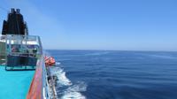 MS Amadea auf See