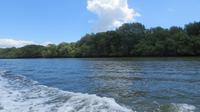 Bootsfahrt durch die Mangroven, Ecuador