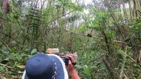 Spaziergang durch den Regenwald, Pacoche Lodge, Ecuador