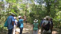 Spaziergang durch den Carara Nationalpark, Costa Rica