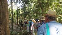 Spaziergang durch den Carara Nationalpark, Costa Rica