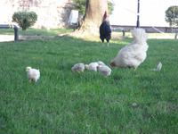 faszinierender als die Stadt