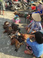 Mekong Strassenleben