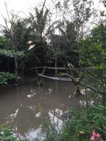 Mekong Flusslandschaften