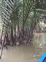 Mekong Flusslandschaften