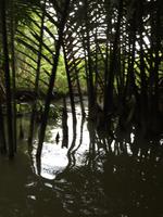 Mekong Flusslandschaften