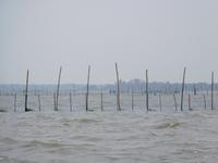 auf dem Chilika-See
