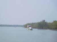 unterwegs in den Sundarbans