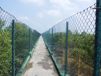 alle Wege für Touristen zw. zu den Aussichtstürmen sind zum Schutz eingezäunt