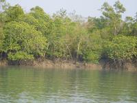 das Wasser geht wieder zurück ... 