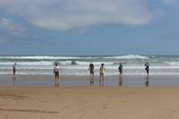 Strand Wilderness