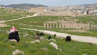 Jerash